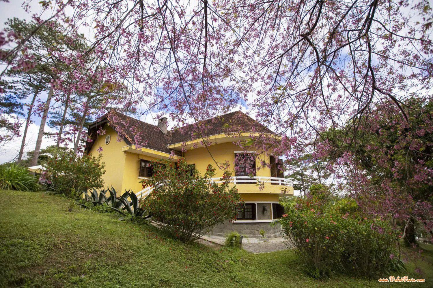 Đất biệt thự 2 mặt tiền đường chính Nam Hồ, DT 442.96m2, ngay trường TH Nam Hồ, cách HXH khoản 4km, gần KBT Nam Hồ. Đường nhựa 2 chiều. View đẹp. Giá 22 tỷ