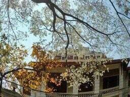 Nhà liên kế đường Phạm Ngũ Lão, P3, Đà Lạt. DT 60.93m2 full thổ cư. Cách Hồ Xuân Hương khoản 500m. Khu dân cư đông đúc, Đường ô tô. Giá 11.5 tỷ